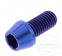 Parafuso tampa cônica Pro Bolt M10 x 1.50 x 20 mm aço inoxidável A4 azul - JM