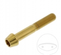 Parafuso tampa cônico redondo Pro Bolt M10 x 1.25 x 60 mm em aço inoxidável A4 dourado - JM