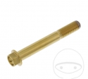 Parafuso tampa hexagonal Pro Bolt M10 x 1.25 x 75 mm aço inoxidável A4 dourado - JM