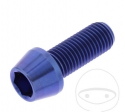 Parafuso tampa redonda cônica Pro Bolt M10 x 1.25 x 25 mm aço inoxidável A4 azul - JM