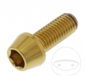 Parafuso tampa redonda cônica Pro Bolt M10 x 1.50 x 25 mm aço inoxidável A4 dourado - JM