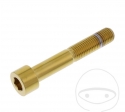 Parafuso tampa redonda Pro Bolt M10 x 1.25 x 60 mm aço inoxidável A4 dourado - JM