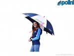 Paraplu Hi-Speed (wit / blauw) - Polini