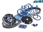 Polini Hi-Speed Variator Kit - Aprilia Sonic / Malaguti F10 / Yesterday / MBK Evolis / Forte / Fizz / Yamaha Axis / Jog - 50 2T