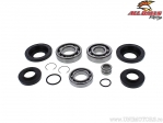 Rear Differential Bearings - Honda TRX420FA IRS ('15-'22) / TRX500FA ('15-'19) / TRX520FA / TRX520FM IRS ('20-'22) - All Balls