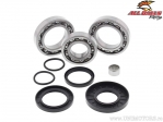 Rear Differential Bearings - Kawasaki KVF300 Brute Force ('12-'22) - All Balls