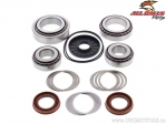 Rear Differential Bearings - Polaris RZR 4 800 ('10-'14) / RZR800 ('08-'14) / RZR S800 ('09-'14) - All Balls