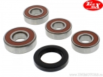 Rear Wheel Bearing and Oil Seal Kit - Honda CBF 250 ('04-'06) - TourMax