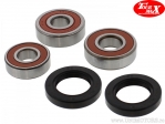 Rear Wheel Bearing and Oil Seal Kit - Honda CBR 250 R ('13-'14) / Honda CBR 250 RA ABS ('11-'15) - TourMax