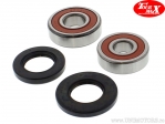 Rear Wheel Bearing and Oil Seal Kit - Yamaha RD 400 ('76-'77) - TourMax