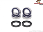 Rear Wheel Bearing and Seal Kit - Arctic Cat 375 2x4 / Cat 400 2x4 / Cat 500 4x4 / 500 4x4 / 500FIS TBX 4x4 - All Balls