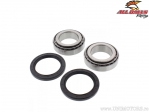 Rear Wheel Bearing and Seal Kit - Can-Am DS 650 ('00-'07) - All Balls