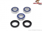 Rear Wheel Bearing and Seal Kit - Honda CB400F / CB450SC / CBR600F / VT600C Shadow / VT600CD / VT600CD2 - All Balls