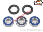 Rear Wheel Bearing and Seal Kit - Honda CBR 600 F ('91-'94) - (All Balls)