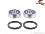 Rear Wheel Bearing and Seal Kit - TM Racing EN125 / EN300 / MX125 / MX300 / MX530F / SMR530F / SMX660F - All Balls