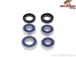 Rear Wheel Bearing and Seal Kit - Yamaha DT80 - All Balls