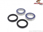 Rear Wheel Bearing and Seal Kit - Yamaha YFM 250 Raptor ('08-'13) / YFM 350 Raptor ('04-'13) - All Balls