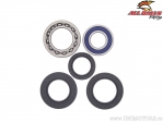 Rear Wheel Bearing and Seal Kit - Yamaha YFM400 Kodiak 4WD - All Balls