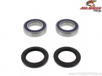 Rear Wheel Bearing and Seal Kit - Yamaha YFM660R Raptor / YFS200 Blaster / YFZ350 Banshee - All Balls