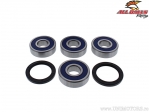 Rear Wheel Bearing / Oil Seals Kit - Yamaha XV 19 Star Eluder ('18) / XV 19 Star Venture ('18-'21) - All Balls