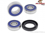 Rear Wheel Bearing/Seal Kit - Kawasaki KE175 ('80-'83) - All Balls