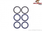 Rear Wheel Bearing/Simering Kit - Can-Am DS 450 ('10-'13) / DS 450 EFI XXC ('09-'12) / DS 450 STD/X ('08-'09) - All Balls