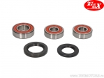 Rear Wheel Bearings and Seals Kit - Kawasaki GPX 600 / GPZ 600 / VN 800 / ZR 550 / ZR 750 / ZZR 600 - TourMax