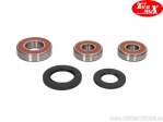 Rear Wheel Bearings and Seals Kit - Kawasaki GPZ 1000 / GPZ 1100 / Z 1000 / ZR 1100 / ZRX 1100 / ZX-10 1000 - TourMax