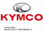 ROH KPL AGILITY CARRY DELIVERY LA - 33650ALC8E60 - Kymco