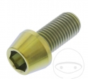 Round Cone Cap Screw Pro Bolt M10 x 1.25 x 20 mm Stainless Steel A4 Gold - JM