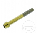 Round conical Pro Bolt M10 x 1.25 x 75 mm stainless steel A4 gold screw