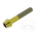 Round conical Pro Bolt screw M10 x 1.50 x 50 mm stainless steel A4 gold - JM