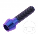 Runder konischer Kappenbolzen Pro Bolt M10 x 1.50 x 40 mm Edelstahl A4 violett - JM