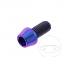 Rundkonus-Kappen-Schraube Pro Bolt M10 x 1.50 x 20 mm Edelstahl A4 violett - JM