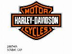 SCREW, CAP - 2887WA - Harley-Davidson