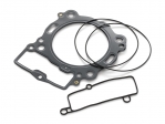 Sealing kit Factory KTM 450 SX ATV ('09-'10) - KTM