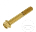 Sechskantschraube Pro Bolt M10 x 1.25 x 60 mm Edelstahl A4 Gold - JM