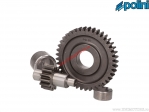 Secondary transmission Z 14/41 (202.1321) - Polini