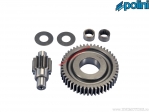 Secondary transmission Z 14/48 (with bearing) - Polini