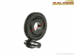 Secundaire transmissie HTQ Z 15/55 (diameter 17mm) - Aprilia Scarabeo Classic 50 Air 2T E4 '18-'20 (Piaggio) - Malossi