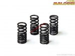 Set arcuri supape (2913068) - 4 bucati - Aprilia Atlantic GT 500i H2O 4T E1 ('01) - Malossi