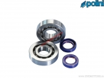 Set bearings / crankshaft seals (282.0001) - Polini