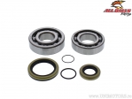 Set bearings / crankshaft seals - Gas-Gas EC Ranger 300 / EC250 / Enduro GP300 / XC200 / Rieju MR Ranger 300 - All Balls