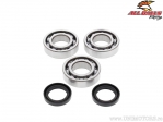 Set bearings / crankshaft seals - Polaris Big Boss 250 / Cyclone 250 / Trail Boss 250 2x4 / Trail Boss 250R/ES - All Balls