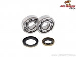 Set di cuscinetti / guarnizioni albero motore - Gas-Gas EC125 ('03-'11) / MC125 / SM125 ('03-'09) - All Balls