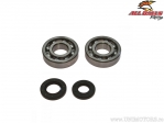 Set of bearings and seals for crankshaft - Kawasaki KX250 - All Balls