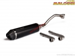 Sistema de escape Maxi Wild Lion (3217721) - Yamaha T-Max 500i H2O 4T E3 '08-'11 (homologado pela UE) - Malossi