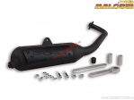 Sistema de escape Wild Lion (3217172) - homologado - Aprilia Sport City One 50 AIR 2T E3 ('08-'11) - Malossi