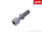 Starter contact screw - Aprilia MX 50 / Pegaso 650 / RS 125 / RS 50 / RST 1000 / RSV 1000 / RX 125 / RS 125 / RS 50 - Aprilia