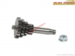 Transmission primaire multiple Sport Z 10-14-17-20 - Vespa ETS 125 Air 2T ('84-'85) / Special 50 Air 2T ('74-'79) - Malossi